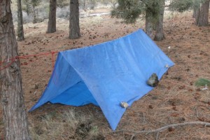 Tarp tent